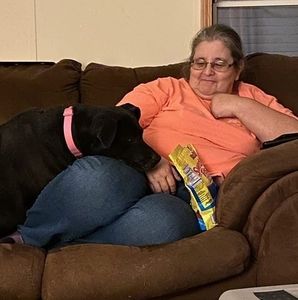 Meet your Posher, Jodi